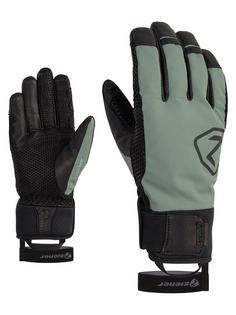 Skihandschuhe » Fingerhandschuhe » Ski in grün im Online Shop von  SportScheck kaufen
