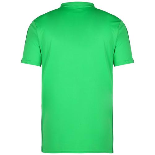 Rückansicht von Nike Academy 23 Poloshirt Herren grün / dunkelgrün