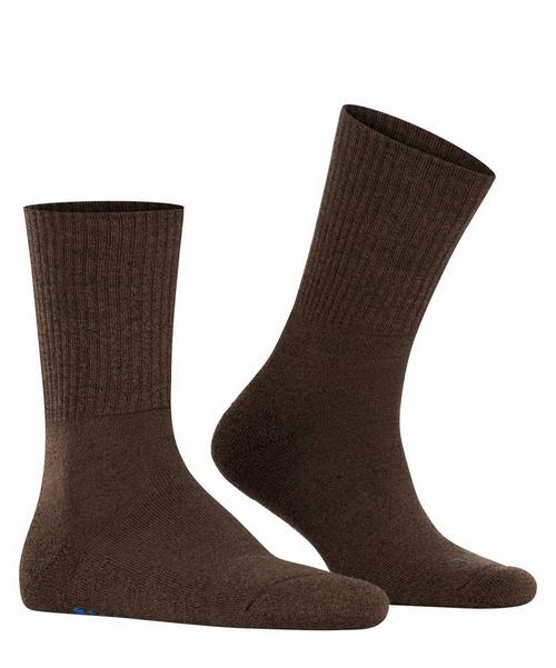 Rückansicht von Falke Socken Freizeitsocken Dunkelbraun