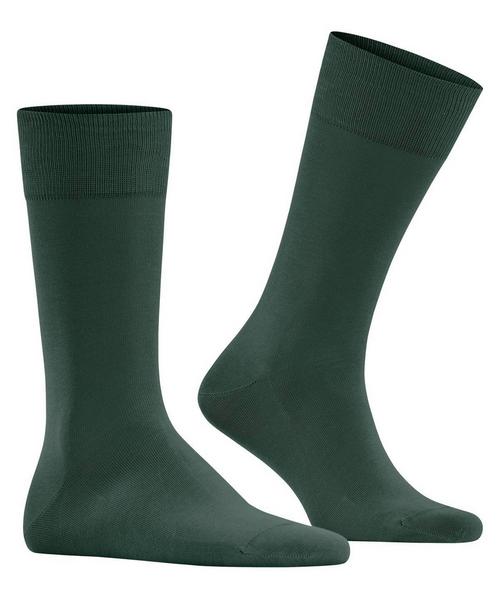 Rückansicht von Falke Socken Freizeitsocken Herren Grün