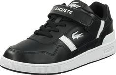 Lacoste Sneaker Sneaker Herren Schwarz/Weiß