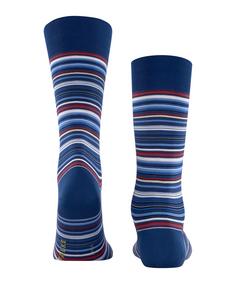 Rückansicht von Falke Socken Freizeitsocken Herren royal blue (6000)