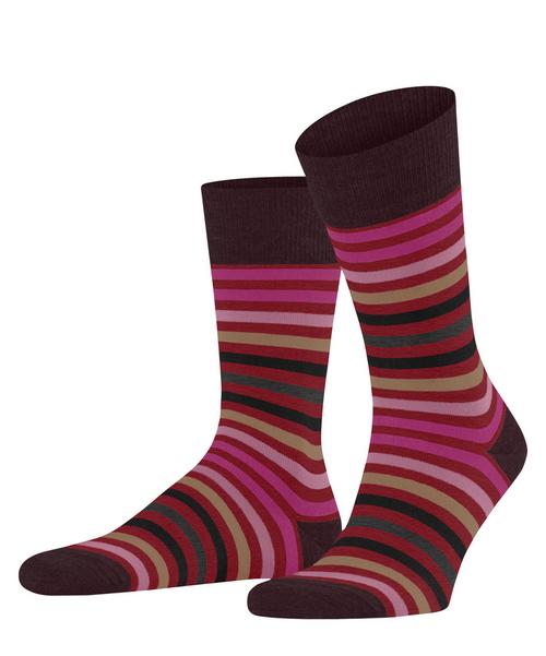 Falke Tinted Stripe SO Socken Herren