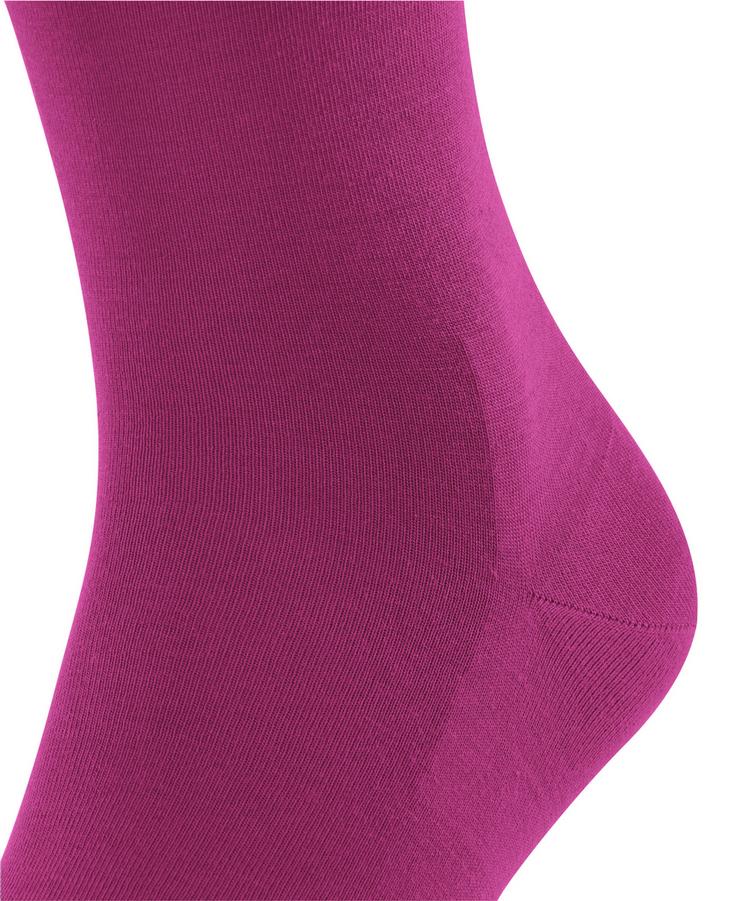 Falke Falke ClimaWool SO Socken Herren - berry (8390) - 1 | SportScheck