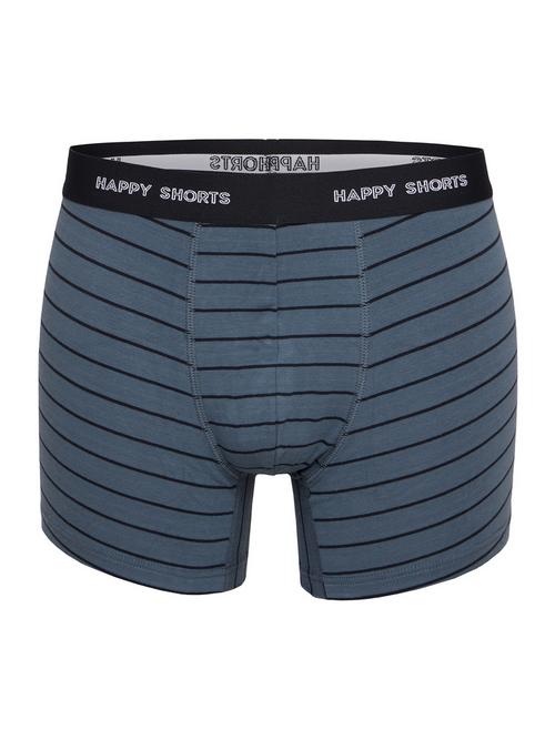 Rückansicht von HAPPY SHORTS Retro Pants Motive Boxershorts Herren Stripes