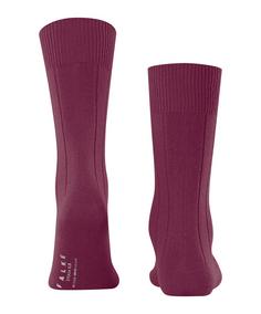 Rückansicht von Falke Socken Freizeitsocken Herren red plum (8236)