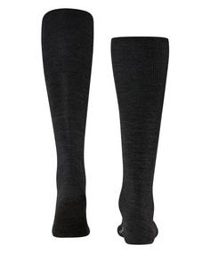 Rückansicht von Falke Freizeitsocken Herren anthra.mel (3080)
