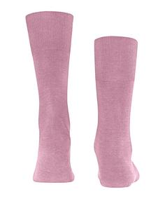 Rückansicht von Falke Socken Freizeitsocken Herren light rosa (8276)