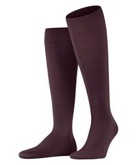 Falke Socken Herren - barolo (8596)