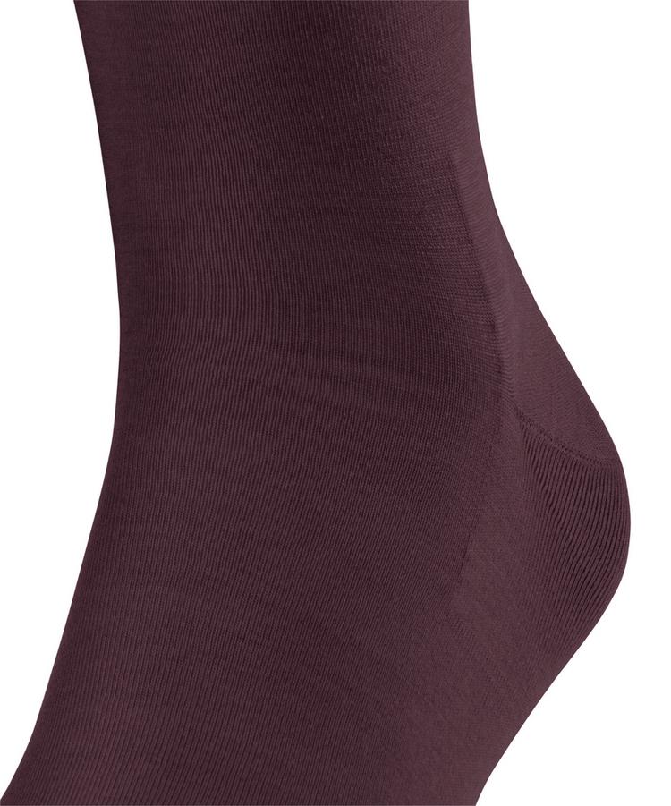 Falke Falke Socken Herren - barolo (8596) - 1 | SportScheck