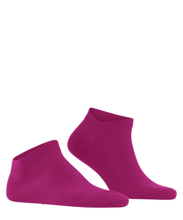 Falke Falke ClimaWool SN Socken Herren - berry (8390) - 0 | SportScheck