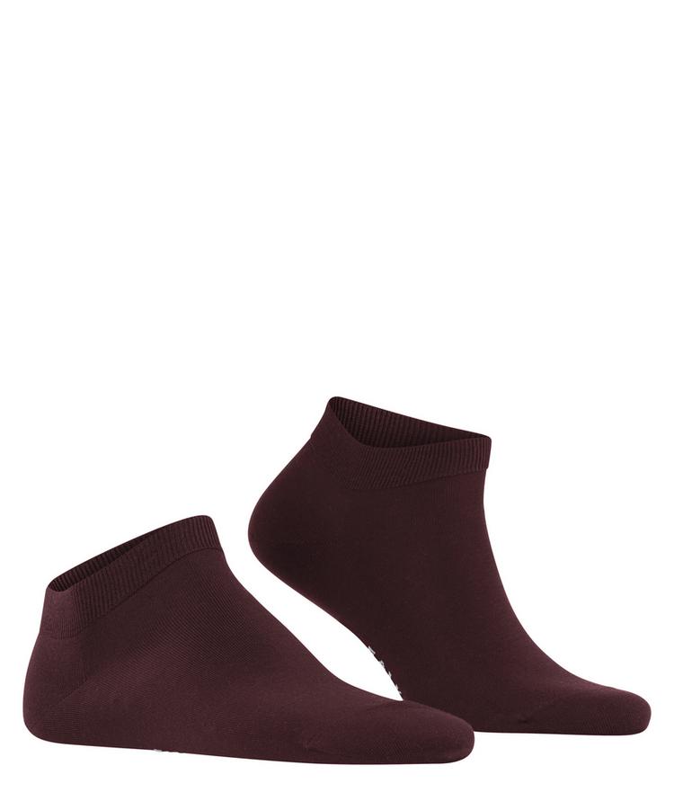 Falke Falke ClimaWool SN Socken Herren - barolo (8596) - 0 | SportScheck
