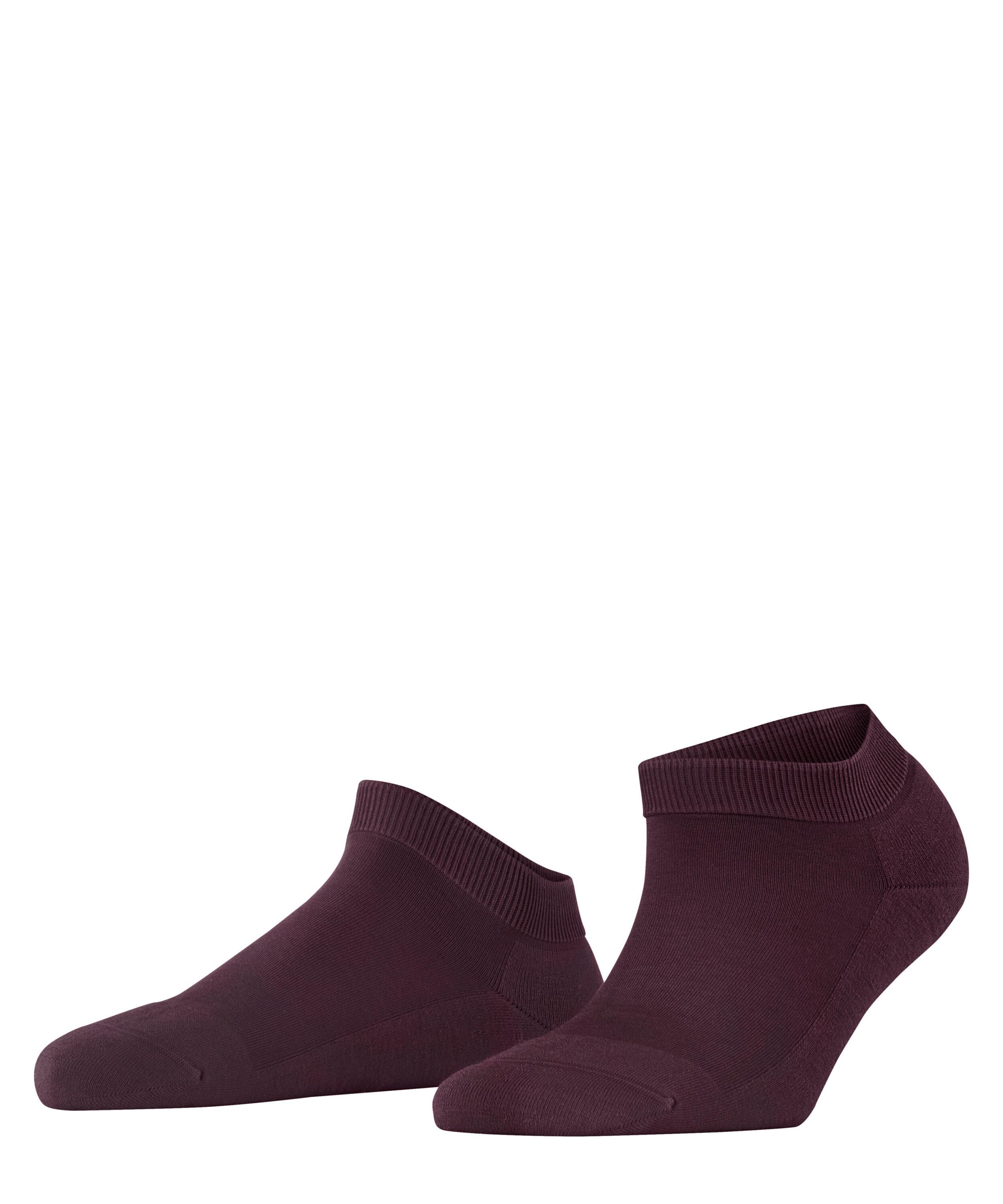 Falke ClimaWool SN Socken Damen - barolo (8596)