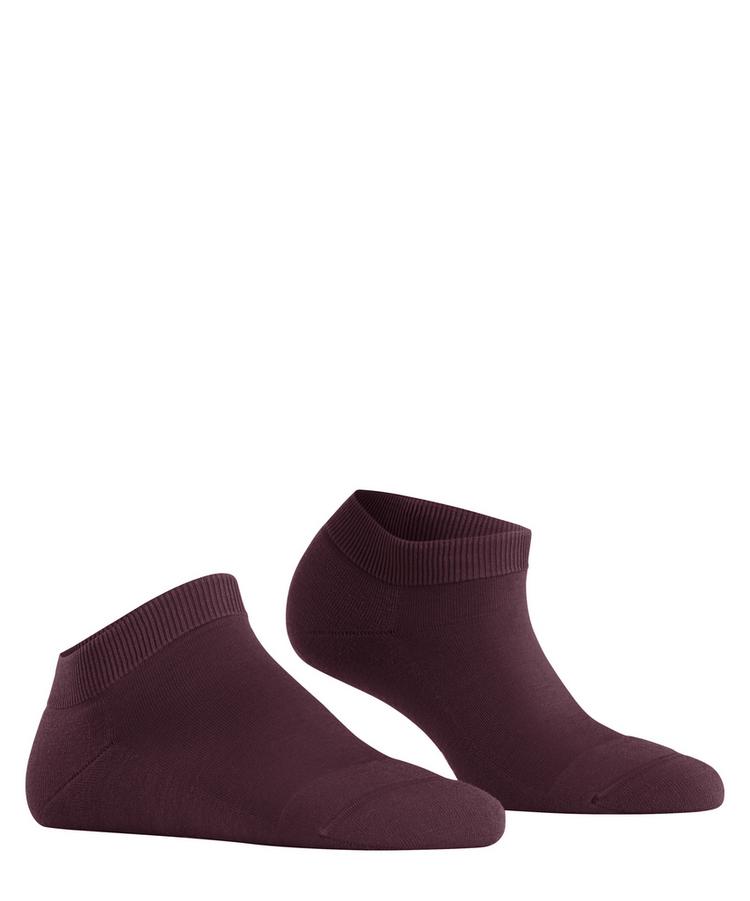 Falke Falke ClimaWool SN Socken Damen - barolo (8596) - 0 | SportScheck