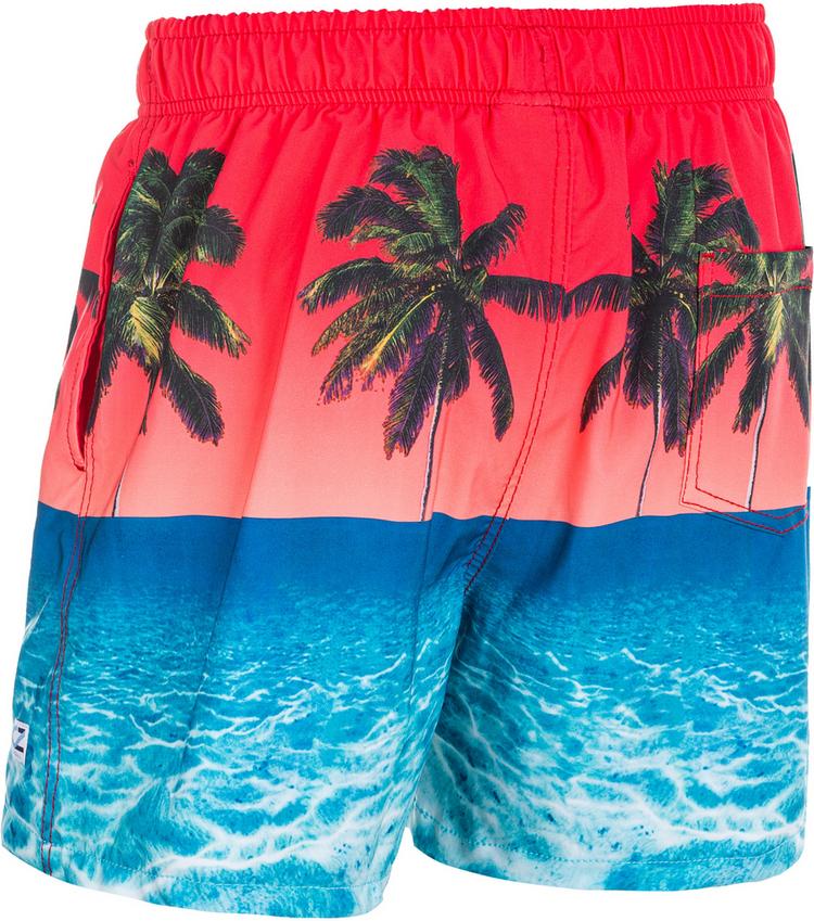 Cruz Cruz Farell Badehose Herren - PRINT 8293 - 0 | SportScheck