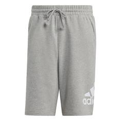 adidas Sweatshorts Badge of Sports Shorts Herren medium grey heather