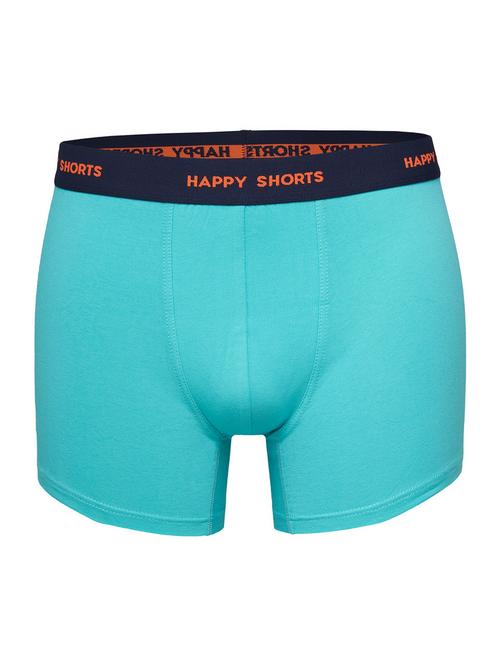Rückansicht von HAPPY SHORTS Retro Pants Solids Boxershorts Herren Uni 2