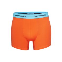 Rückansicht von HAPPY SHORTS Retro Pants Motive Boxershorts Herren blue-orange-turquise