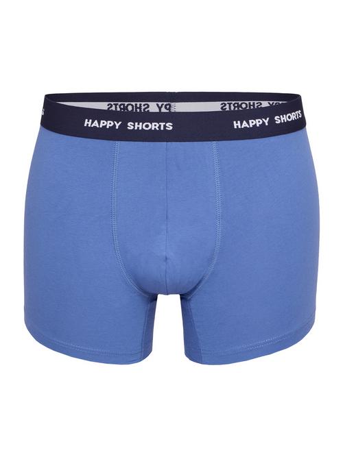 Rückansicht von HAPPY SHORTS Retro Pants Motive Boxershorts Herren Hawaii2