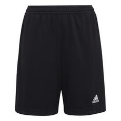 adidas Entrada 22 Training Shorts Funktionsshorts Kinder Black