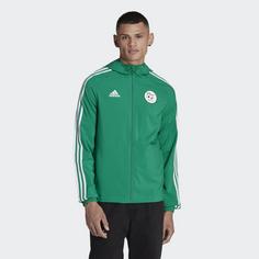 Rückansicht von adidas Algerien Windbreaker Outdoorjacke Herren Bold Green / White