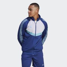 Rückansicht von adidas Tiro Jacke Jacke Herren Victory Blue