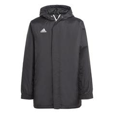 adidas Entrada 22 Stadium Jacke Funktionsjacke Kinder Black