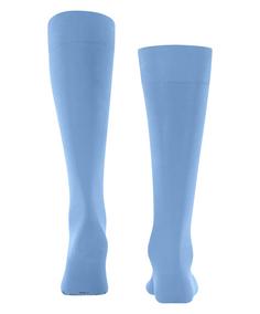 Rückansicht von Falke Kniestrümpfe Freizeitsocken Herren cornflower blue (6554)