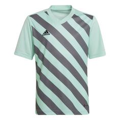 adidas Entrada 22 Graphic Trikot Fußballtrikot Kinder Clear Mint / Team Grey Four