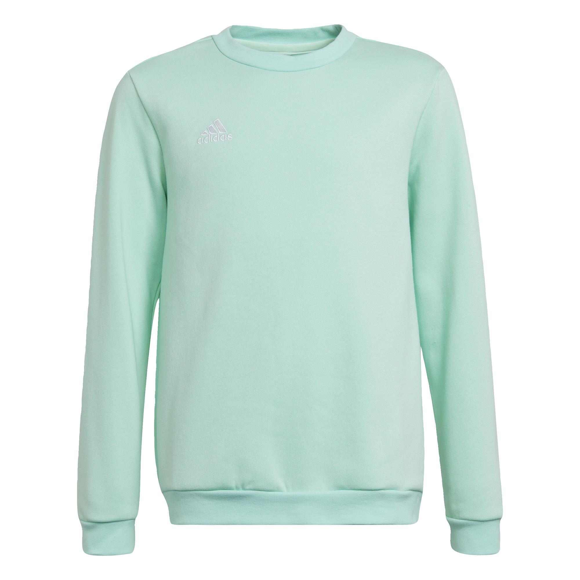 Adidas mint green sweatshirt best sale