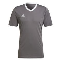 adidas Entrada 22 Trikot Fußballtrikot Herren Team Grey Four