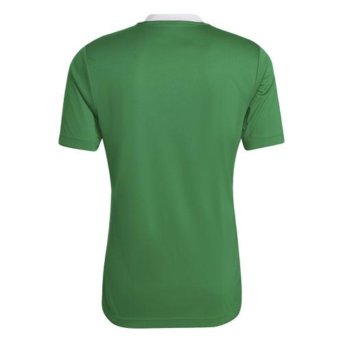 Rückansicht von adidas Entrada 22 Trikot Fußballtrikot Herren Team Green / White