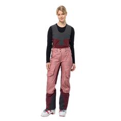 Rückansicht von Jack Wolfskin ALPSPITZE AIR PANTS W Funktionshose Damen blush powder