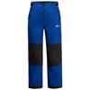 Jack Wolfskin ACTAMIC 2L INS PANTS K Thermohose Kinder - black