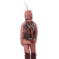 Rückansicht von Jack Wolfskin ALPSPITZE PACK 25 Reiserucksack phantom