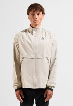 Rückansicht von Odlo ZEROWEIGHT PRO WARM REFLECT Laufjacke Herren silver cloud(10697)