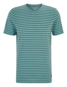 JOY sportswear JANOSCH T-Shirt Herren lake green stripes