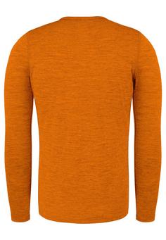 Rückansicht von normani Outdoor Sports Merino Melbourne Langarmshirt Herren Orange