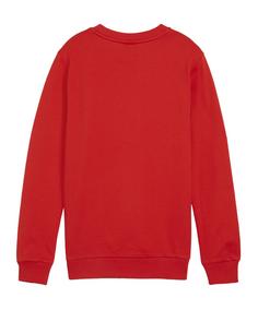 Rückansicht von PUMA teamGOAL Casuals Sweatshirt Kids Funktionssweatshirt Kinder rotweiss