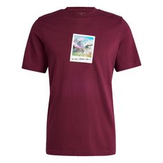 adidas All Day I Dream About... Graphic T-Shirt T-Shirt Herren Maroon