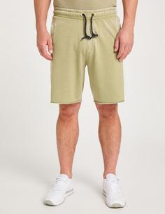 Rückansicht von VENICE BEACH VB Men AIDEN Sweatshorts Herren oil green