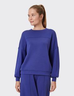 Rückansicht von VENICE BEACH VB Sarfina Sweatshirt Damen radiant blue