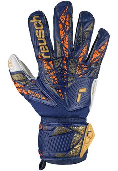 Rückansicht von Reusch Attrakt Grip Fingerhandschuhe 4410 premium blue/gold