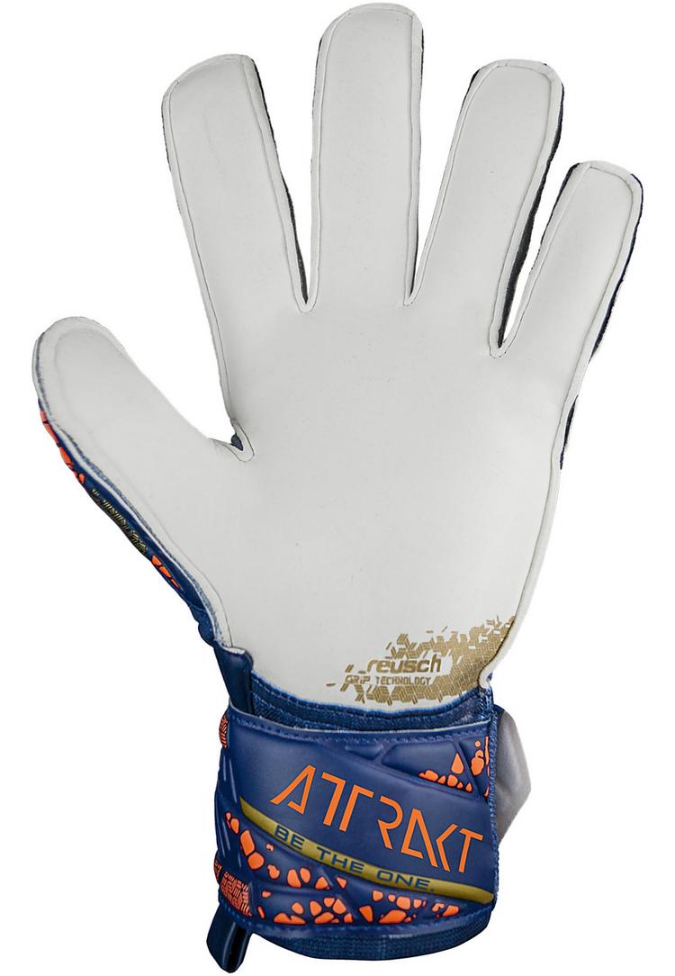 Reusch Reusch Attrakt Grip Torwarthandschuhe - 4410 premium blue/gold - 1 | SportScheck