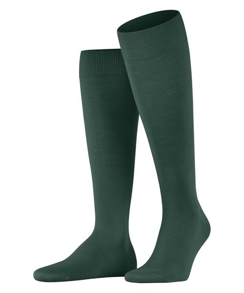 Falke Socken Herren