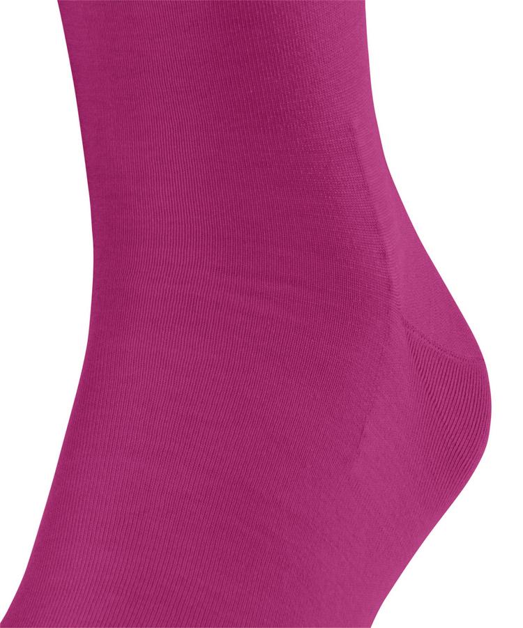 Falke Falke Socken Herren - berry (8390) - 1 | SportScheck