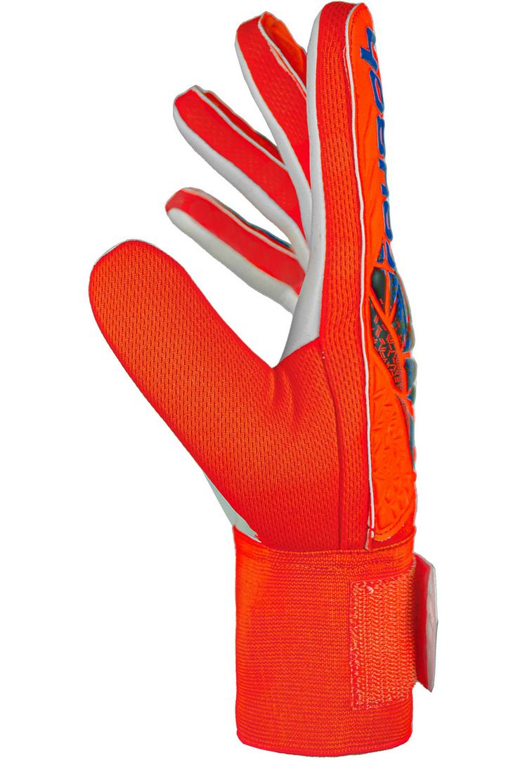 Reusch Reusch Attrakt Starter Solid Torwarthandschuhe - 2210 hyper orng/elec blue - 0 | SportScheck