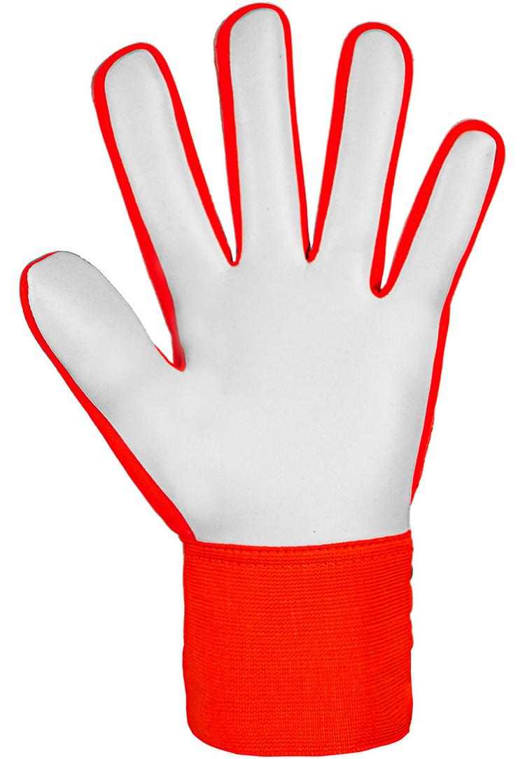 Reusch Reusch Attrakt Starter Solid Torwarthandschuhe - 2210 hyper orng/elec blue - 1 | SportScheck