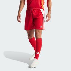 Rückansicht von adidas Tiro 24 Shorts Fußballshorts Herren Team Power Red 2 / White