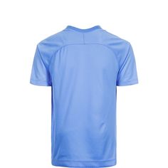 Rückansicht von Nike Striped Segment III Fußballtrikot Kinder hellblau / weiß